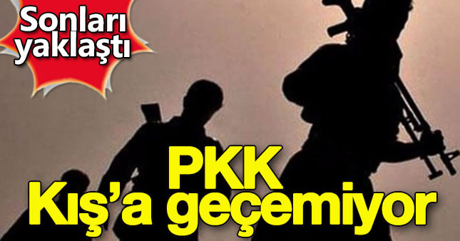 Yeni operasyonlardan dolayı PKK kış'a geçemiyor