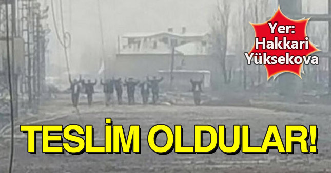 Yüksekova'da teslim olan terörist grup