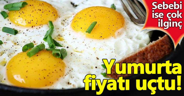 Yumurta fiyatları neden bu kadar yükseldi?