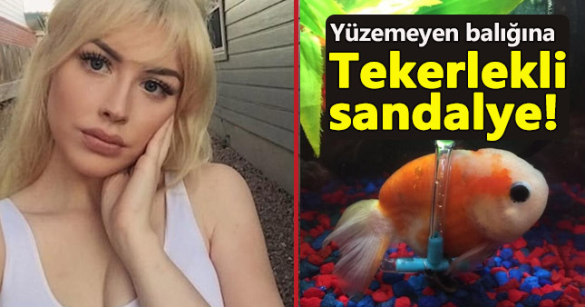 Yüzemeyen balığa tekerlekli sandalye tedavisi