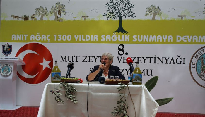 Zeytinyağının faydaları paha biçilemez