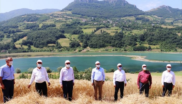 Samsun'da buğday hasat töreni gerçekleştirildi