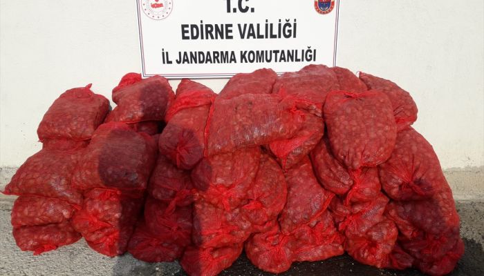Edirne'de 1 ton kaçak midye ele geçirildi