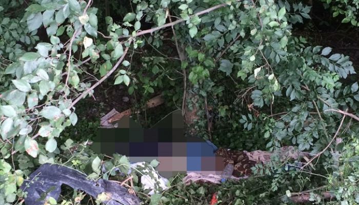 Anadolu Otoyolu'nda erkek cesedi bulundu