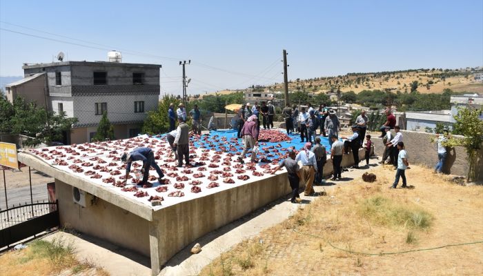 Köyde kestikleri kurbanlıkların etini her aileye eşit şekilde dağıtıyorlar
