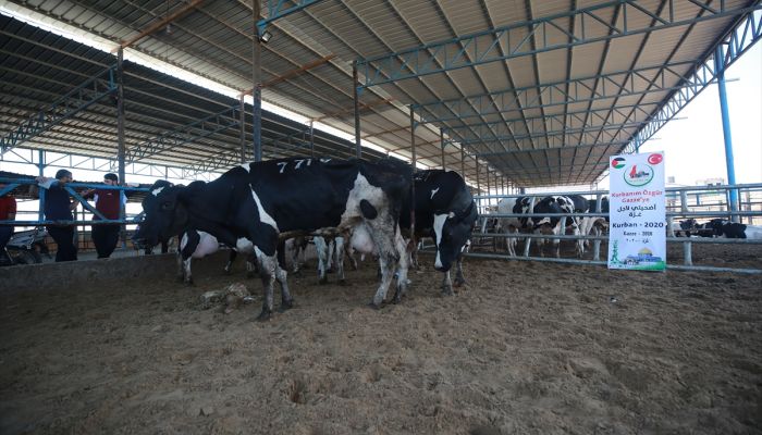"Gazze'ye Hayat Ol" Platformundan 1750 aileye kurban eti