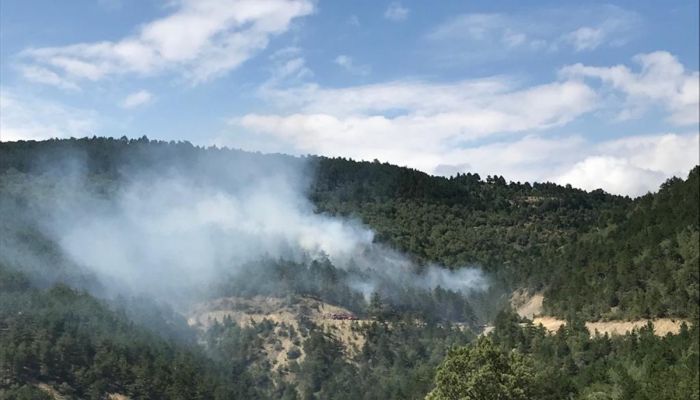 Sinop'ta orman yangınında 30 hektarlık alan zarar gördü

