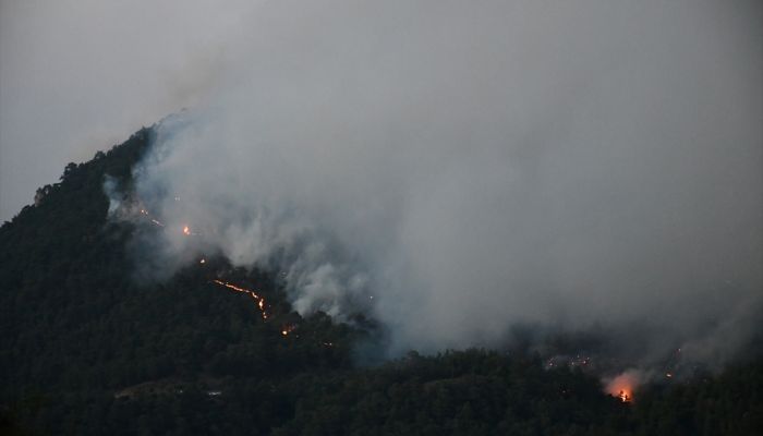 Manisa'daki orman yangını devam ediyor