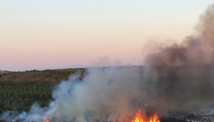 Bozcaada'da makilik alanda yangın çıktı