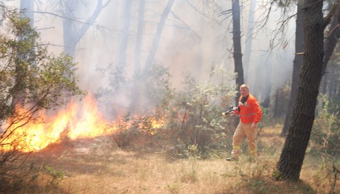 İstanbul'da Aydos Ormanı'nda yangın 