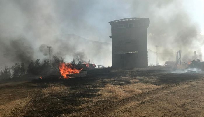 Elazığ'da çıkan yangında bin dekar ormanlık alan zarar gördü
