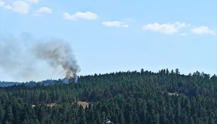 Bolu'da ormanlık alanda çıkan yangın söndürüldü