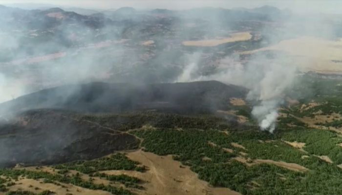 Elazığ'da 1000 dekar ormanlık alanın zarar gördüğü yangın kontrol altına alındı
