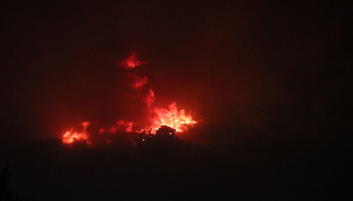 Tarım ve Orman Bakanı Pakdemirli'den Çeşme'deki yangına ilişkin açıklama: