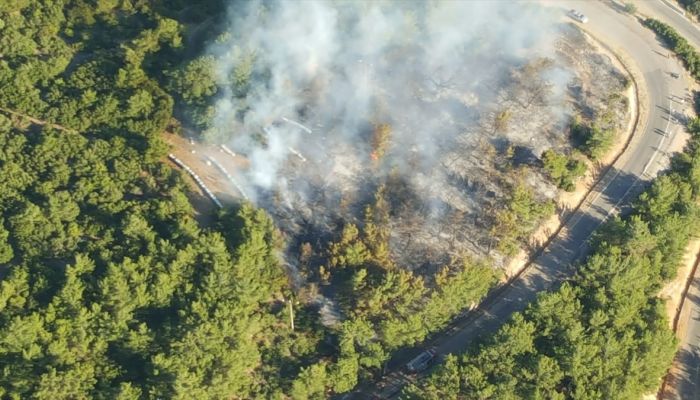 İzmir'de çıkan orman yangını kontrol altına alındı 