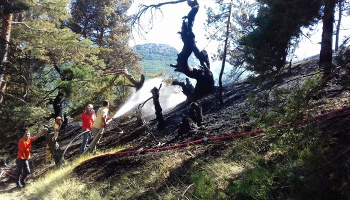 Amasya'daki orman yangını söndürüldü
