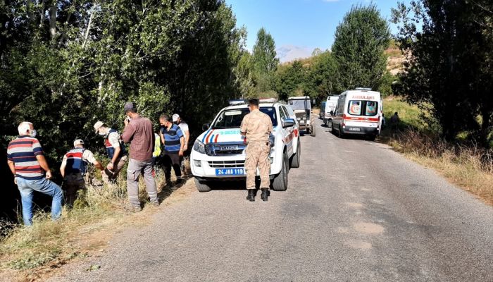 Erzincan'da tarım aracı devrildi, 7 kişi yaralandı