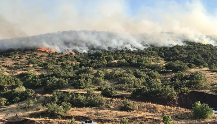 Elazığ'da çıkan orman yangınına müdahale ediliyor