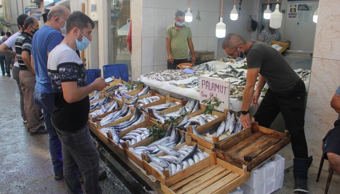 Sinop'ta denize açılan balıkçılar limana 600 kasa palamutla döndü
