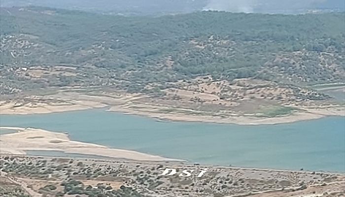 Muğla'da orman yangınına hava ve karadan müdahale ediliyor