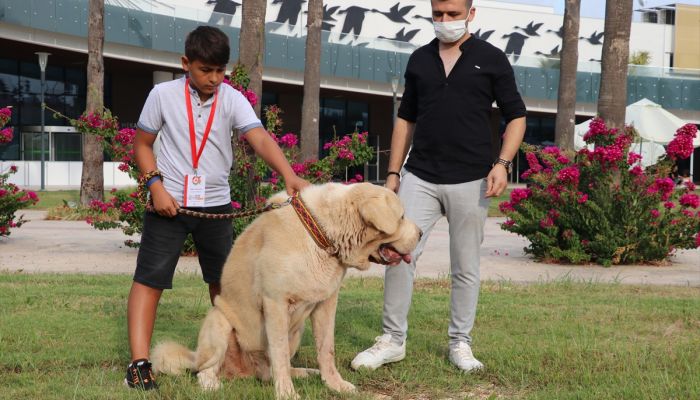 Antalya'da hayvanseverlerin buluştuğu "PETZOO" fuarı sona erdi