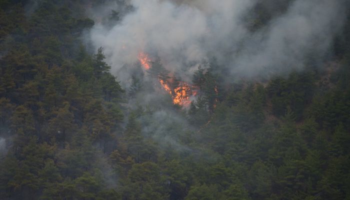 Eskişehir'de otomobilde çıkan yangın ormanlık alana sıçradı