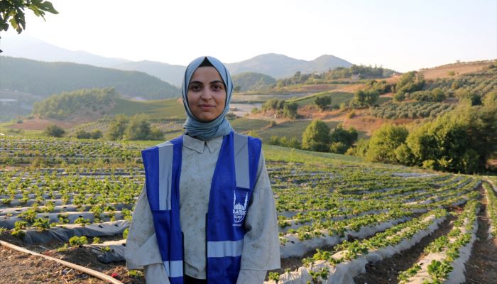 Hatay'daki Suriyeli aileler için tarımsal destek projesi
