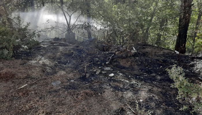Bilecik'te yıldırım düşmesi sonucu çıkan orman yangını söndürüldü