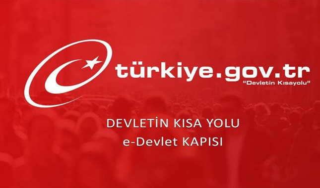 e-devlet'ten pasaport ve sürücü belgesi başvurusu yapılabilir mi başvuru durumu nasıl sorgulanır