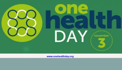 3 KASIM ULUSLARARASI TEK SAĞLIK GÜNÜ