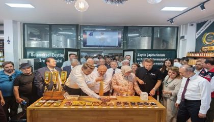 Ayvalık'ta Yılın İlk Zeytin Hasadı Yapıldı: Zeytinyağında Rekolte Beklentisi 400 Bin Ton