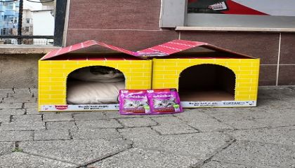 “Bu Bir Koli Değil, Bir Yuva” Projesi: Güçlü Bir Sosyal Fayda Hikâyesi