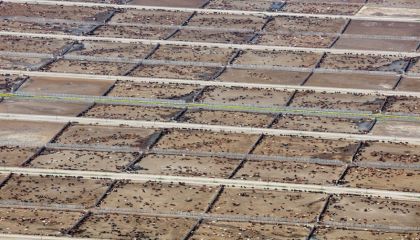 Endüstriyel Hayvancılık, Küresel İklim Hedeflerini Tehdit Ediyor