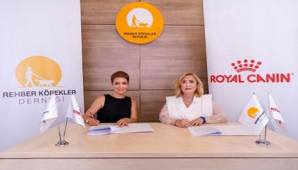 Engelli Bireylerin Bağımsızlığına Güç Veren İş Birliği