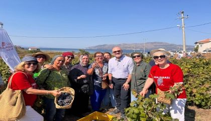 İDO İle Avşa'da Adakarası Bağ Bozumu Coşkusu: Tarih, Gastronomi Ve Kültür Buluştu