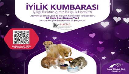 “İyilik Kumbarası” Bu Kez Sokak Hayvanlarına Umut Oluyor