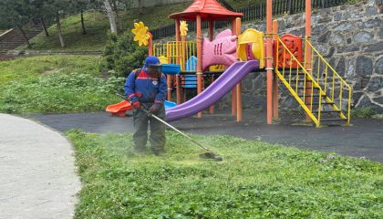 KÂĞITHANE'DE YEŞİL ALANLARDA BAKIM VE DÜZENLEME ÇALIŞMALARI SÜRÜYOR