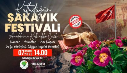 Kutludüğün Şakayık Festivali 7 Haziran'da Gerçekleştirilecek