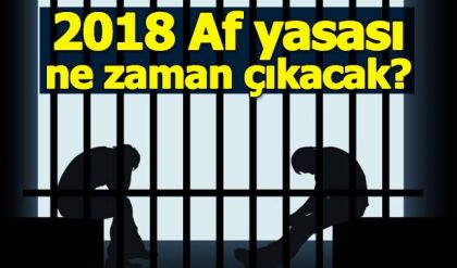 Mahkumlara af çıkacak mı - 2018 af çıkarsa kimler yararlanacak - Af kanunu ne zaman çıkar