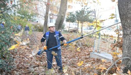 Mamak'ta Sonbahar Budama Çalışmaları Sürüyor