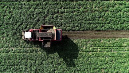 Mezra Ziraat 2025 Yılında 22 Bin 500 Dekara Ulaştı