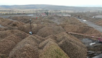 Sukkar Şeker 2025'te Üretim Hacmini Güçlendirdi