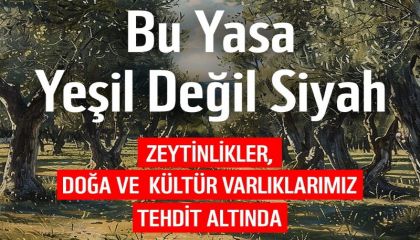 WWF-Türkiye: Meclis'e Sunulacak Yasa Teklifi Doğayı ve Kültürel Varlıkları Tehdit Ediyor