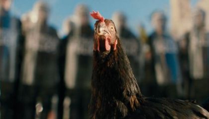Yeni bir film vizyona hazırlanıyor: "Hen - Tavuk"