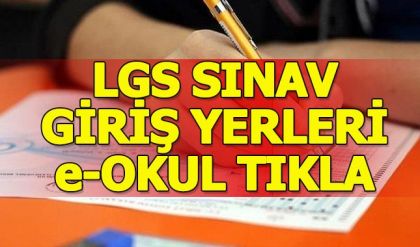 LGS sınav giriş yeri sorgulama e-okul giriş - LGS ne zaman hangi tarihte yapılacak?