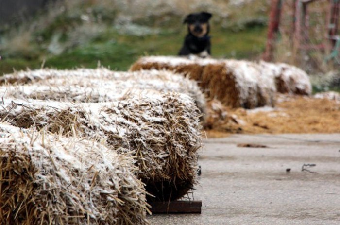 Yaz bitti, kar geldi... Yılın ilk karı yağdı A24