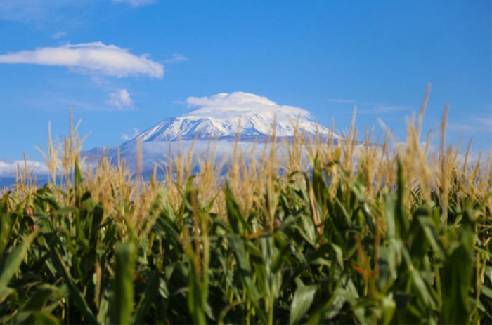 Yaz bitti, kar geldi... Yılın ilk karı yağdı A24