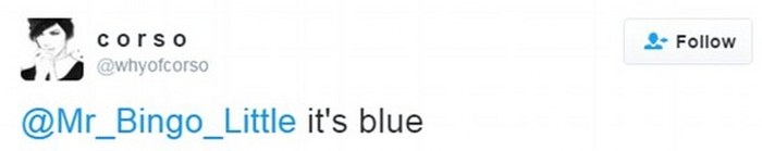 Sosyal medya bu çantanın rengini tartışıyor A24