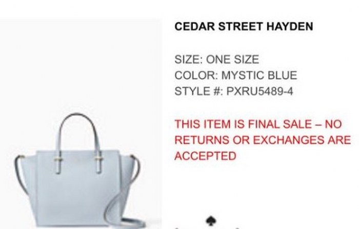 Sosyal medya bu çantanın rengini tartışıyor A24