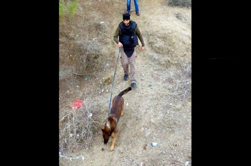 Songül Erçil'in hayatından dram çıktı A24